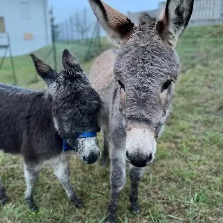Bay Tatil Evi Verrua Savoia