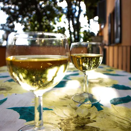 Bay Дом отдыха